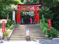 茨城県と栃木県の県境に建つ鷲子山上（とりのこさんじょう）神社のアジサイ
