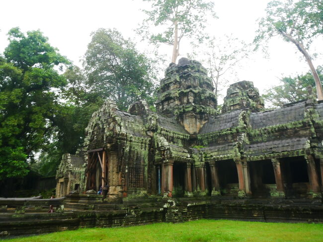 【ひとりでツアー参加♪タ・プローム寺院】 2023.09 カンボジア　その6