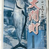  小4娘と2泊3日で函館★なんと大間のマグロがメイン♪