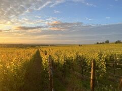 ベルギー、ルクセンブルク、フランス（レンタカー）周遊２