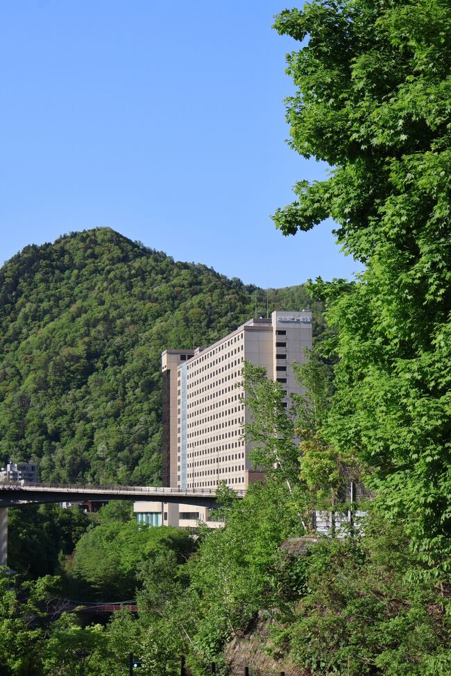 札幌市郊外の豊平区、国道230号線沿いにある定山渓温泉に行きました、慶応2年開湯で155年余の歴史があります、温泉は支笏洞爺国立公園内にあります、宿泊は巨大温泉リゾートホテルの「定山渓ビューホテル」に、札幌駅北口から送迎バス(定山渓にあるTKB観光が運行する貸切バス)を利用して行きました、到着後、周辺の定山渓温泉の温泉街の散策もしました。<br /><br />定山渓ビューホテルは国道230号線から入ってすぐ豊平川に架かる定山渓大橋際にあり、大きな温泉ホテル、客室は眺望が楽しめるツインルーム利用、ゆとりがありました、夕食・朝食はビュッヘスタイルで内容は良かったです、大浴場は本館地下に大浴場、新館16階と屋上に露天風呂があり、温泉を楽しめました。<br /><br />定山渓温泉で入浴・宿泊するのは昭和51年8月(1976年)に定山渓ユースホステルに泊って以来48年振りでした、当時は定山渓グランドホテルの大浴場に入りました、温泉街はかなり変わったようです。