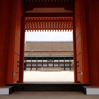 京都御所の案内ツアーに参加する