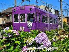 京都の旅行記