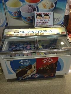 沖縄県：三重城、屋良座杜城、御物城、硫黄城、識名園、首里城、浦添城、勝連城（その5）