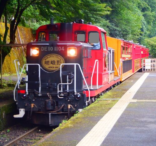 大量入荷 京都 嵐山、嵯峨野 美味しく 耳掻き 嵯峨野トロッコ列車限定 耳のケア