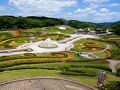 団塊夫婦の初夏の花巡り・2024ー登山の前に国営みちのく杜の湖畔公園へ