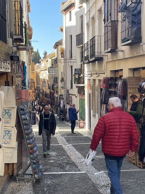 2023冬 スペイン8 グラナダ散歩 ～アルバイシン地区・カテドラル