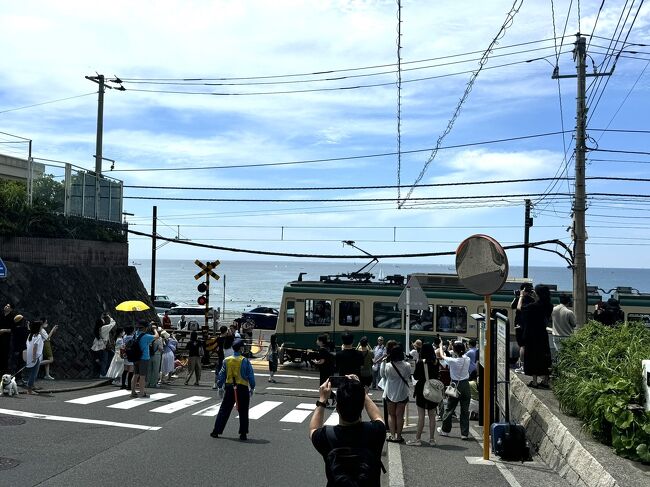 海開きを1週間後に控えた湘南をお散歩。<br />江ノ電の江ノ島駅から海岸沿いを歩いて由比ヶ浜駅へ。<br />途中、あじさいの咲く極楽寺、成就院、御霊神社に寄り道して。