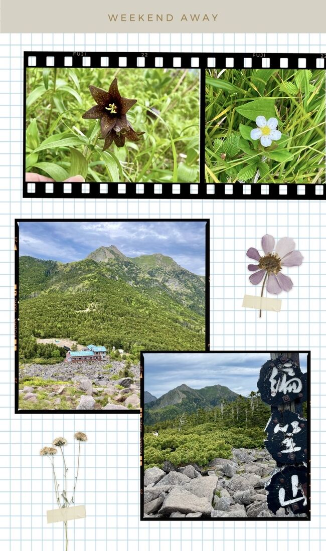 恒例の夏山登山に向けてのトレーニングの為<br />編笠山への日帰り登山ツアーに参加しました。<br />3日前までは雨予報でキャンセルするか悩んでいましたが2日前に突然の晴れ予報！！<br />天気良し、眺望良しの山行となりました(^.^)v