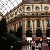 ＃２アールヌーボー探しと絵本フェア2024春～ミラノはアールデコの街でもあるんだね～