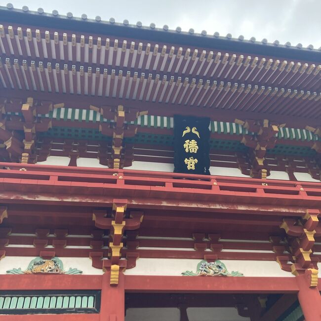 6月の鎌倉といえば、あじさい。<br />先輩のお友だちが、北鎌倉の自宅サロンでセラピーをされているという話から、トントン拍子に決まったはじめての鎌倉です。<br />今のわたしに必要だった、デトックス?断捨離?の旅になりました。<br />実はわたしは、鎌倉は自分が行くようなところではないな、と勝手に思っていました。ましてや、先輩と旅行することになるなんて。<br />でも先輩は、わたしと出会った3年前から、なんとなくわたしと旅行に行くことになると思っていたそうです!