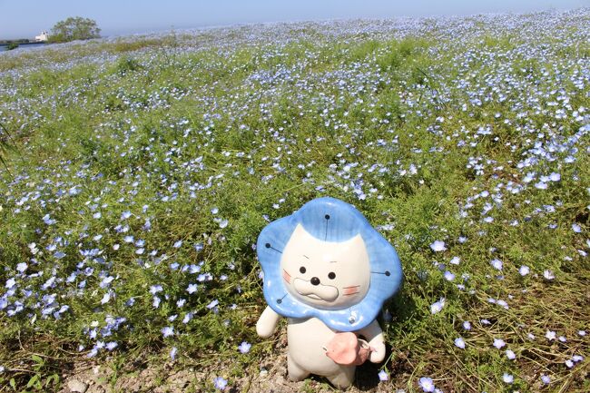 昨年G.W中-後半は近場で♪というタイトルで、旅行記を書きましたが<br />今年も概ね県(=大阪府)から出ないで、近辺を楽しむことにしました。<br />コロナ禍は一旦収束の兆しではあるものの、まだ油断は出来ないという説もあり<br />インバウンドでごった返す観光地を避けて、それなりに過ごしたような気がしています。<br /><br />