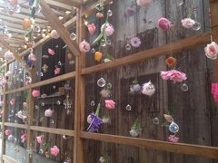 旅行体験記2024～長浜～滋賀県7番目の都市。散策と食べ歩きで魅力盛りだくさん!