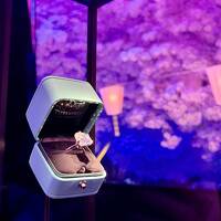 ２０２４ シェラトン都ホテル東京はどんなかな？　ティファニーワンダー展と星組『BIG FISH』に行ってみた♪