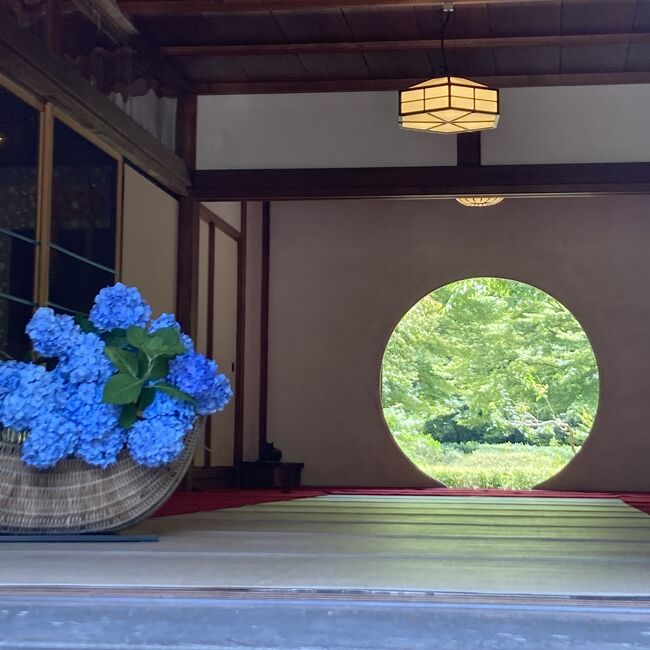 先輩のお友だちが、北鎌倉で施術をされているという話から、トントン拍子に決まったはじめての鎌倉です。<br />今のわたしに必要だった、デトックス?断捨離?の旅になりました。<br />実はわたしは、自分が先輩と鎌倉を訪れるなんて夢にも思いませんでしたが、先輩は、わたしと出会った3年前から、なんとなくわたしと旅行に行くことになると思っていたそうです!