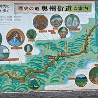 １０-奥奥州･松前道 正寿寺バス停～五戸中央バス停　(6/ 22 15.5km)