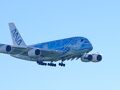 成田空港隣の航空科学博物館