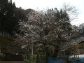 秘境駅と宮崎を感じる旅