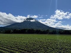 恒例の北海道出張　其の2　今回はニセコエリア