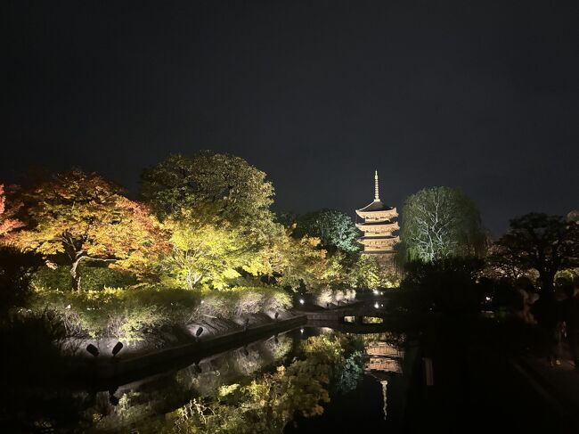 2023年11月～まるで夏の暑さな京都4泊5日～④伏見稲荷・石清水八幡宮・東寺のライトアップ