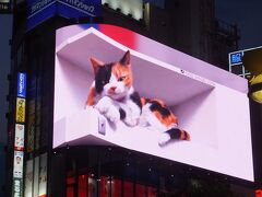 新宿駅で待ち合わせ。東口の猫。広場のアートや記念碑。