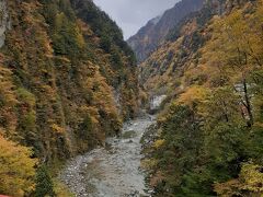 2023年秋　新潟・富山・石川　馬と温泉、アルプスルートの旅②
