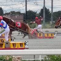 ２０２４年７月　北海道（新千歳→札幌→苫小牧→浦河→襟裳岬→中札内→帯広→新千歳)