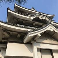 トクたびマイルで連続弾丸旅行。香川行き高松編