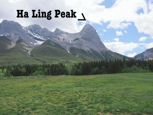 連なる山 2474M 登頂 カナディアンロッキー ハリンピーク』カナディアン