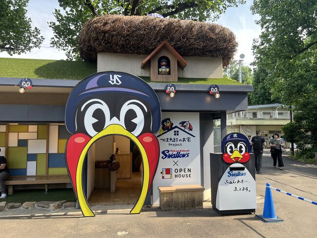 神宮球場がリニューアルされますね。新しい球場の動画を見ましたが素晴らしいです。このようなスケジュールで作業しますので、ヤクルト球団が本拠地なしで戦う事はないみたいです<br /><br />第二球場取り壊し→跡地に新ラグビー場建設<br /> 現ラグビー場取り壊し→跡地に新球場建設<br /> 現球場取り壊し→跡地に新ラグビー場の残り、緑地建設<br /><br />今期はとても調子の悪いライオンズ…都内屈指のビアガーデンと噂の神宮でじんカラ食べにきました!