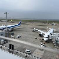 2024年初夏の北海道ガーデン街道を巡る旅。前泊羽田編