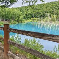 新幹線で行く北海道の旅③　～函館・札幌・富良野～
