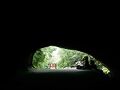 鹿児島県の旅行記