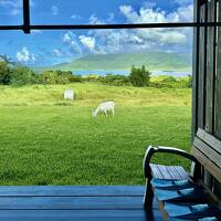 ホーチミン経由で、西表島の海に会いに行く(西表島編)