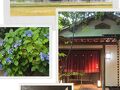 創業140年超えの老舗温泉宿！福岡 原鶴温泉 パーレンス小野屋へ再訪～梅雨もまた楽しやドライブ女子旅