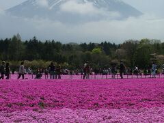 「富士芝桜まつり」と「山中湖花の都公園」