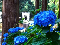 米沢、上杉神社へお礼参りの旅です　☆２０２４.７☆