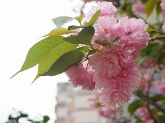 街歩き