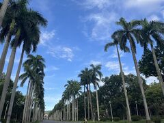 マンゴーかき氷満喫しに台北旅