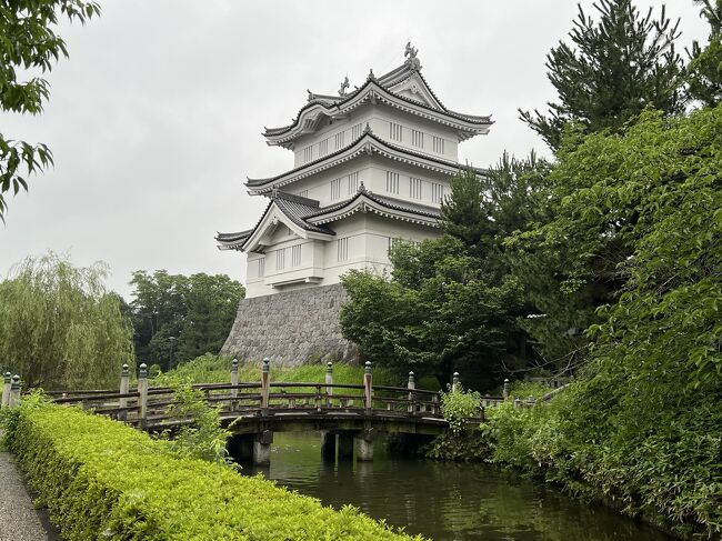 急遽思い立ち7月の三連休の初日～二日目にかけて旅へ。<br />どこへ行こうか？ということで城巡りをメインに北関東で計画を立てました。<br />旅行当日まで数日しかない中ですんなりとスケジュールが決まった上に奇跡的にホテルまで取れてしまっただけでもびっくりですが、なんと三連休中の悪天候の予想は大きく外れ初日は晴れ！<br />いい意味でとことん期待を裏切られました。<br />しかし2日目は打って変わっての雨天。<br />雨天の旅もそれはそれで面白い。<br />両日それぞれインパクトが強い二日間でした。