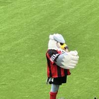 2024年明治安田J1リーグ第17節　北海道コンサドーレ札幌対東京ヴェルディ