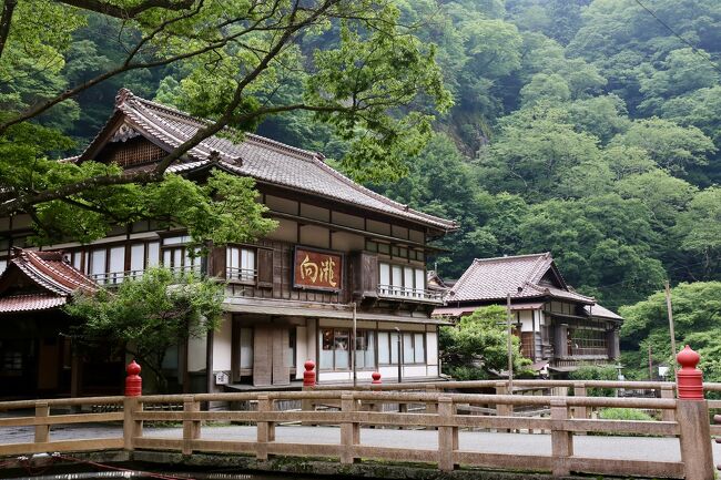 福島県会津若松市にある「東山温泉 向瀧」<br />江戸時代に会津藩士の保養所であった「きつね湯」が明治6年に向瀧として創業した老舗旅館です<br /><br />その趣ある旅館建築は国の登録有形文化財となっており、まさに歴史そのものに宿泊しているような体験<br /><br />五つ星ホテルのようなファシリティではありませんが滞在の価値ありと感じられるお宿でした<br /><br />福寿草の間 13畳+8畳