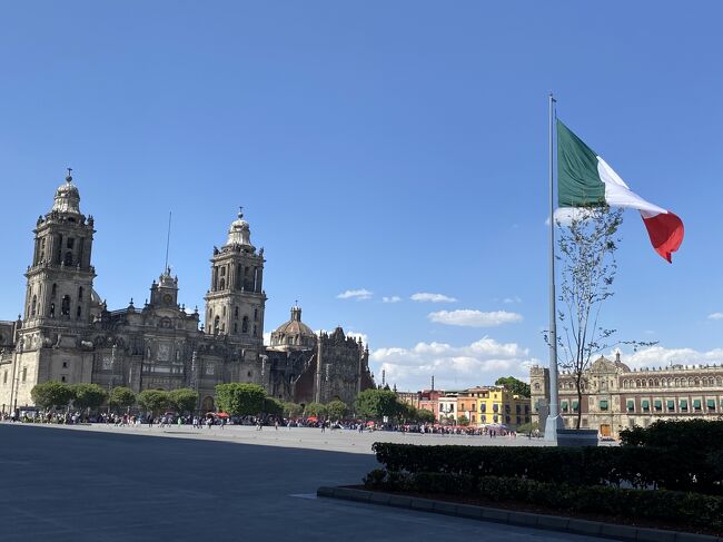 この回からは6月に行ったメキシコ旅行<br />この旅行、思わぬことで高くついてしまったのです。<br />メキシコを旅行先に決め、日にちを決定し(この時点で一ヶ月切っていた)<br />航空券を探し始めた。<br />今まで航空券は、航空会社か日本のサイトでしか買ったことがなかったが<br />今のご時世、燃油サ込の航空券は高いのですよねー<br /><br />そこで格安チケットを見てみると<br />往路ANA直行便、復路ANA 共同催行サンフランシスコ乗り継ぎUA 便<br />と言うのがあり、搭乗経験のないアエロメヒコより<br />復路は乗り継ぎUA便だが往路は、安心安全のANA<br />これは良い!<br />格安チケットだから、航空会社で買うより安い!!良いものを見つけたと<br /><br />初めて外資系某サイトの格安航空券を購入<br /><br />安心して現地の予定をたてていたら<br />購入後4日ほどしてクレカの明細が上がって来た。<br />普段から、クレカの明細は細かくチェックのバロン妻<br />なんと!<br /><br />成田―メキシコ往復航空券二人分まったく同じものが<br />二件分明細が上がってきている<br />一件分しか買ったつもりがないバロン妻<br />何の間違いだろうか!?驚きのあまり心臓バクバク、顔色真っ青<br />大慌てであっちこっち電話をかけて調べた結果<br /><br />以下の三段階を踏んでダブルブッキングになった模様<br />1.自分のミス(これが本当に覚えが無くて)<br />2、タイミングの悪さ(これが本当に不運)<br />3、2に対する思い込みの結果<br />→ダブルブッキングへとなったらしい<br /><br />自覚がなかった初めての経験に頭が真っ白になり<br />いろいろ、手を尽くしたがどうしようもならなかった。<br />ダブルブッキングは一件キャンセルしないと二件とも駄目になる可能性があると言われ、すぐにキャンセル申請したが<br /><br />搭乗日から一ヶ月以内の格安航空券、キャンセルポリシーが厳しく<br />5分の一は、返金されましたが<br />キャンセル手数料は二人分で40万円でした。涙、涙、涙<br />格安航空券を買ったつもりなのに・・・えらー高くついた涙<br />落ち込んで一時期は旅行自体行くのが嫌になってしまったほど<br /><br />旅行が終わった今でも思い出す度‥涙<br /><br />愚痴になるのでここに書くのをためらわれましたが<br />友達にトラベルにトラブルは付き物だよと言われ<br /><br />これもトラベル<br />まあ、返ってこないものは仕方ない笑って諦めよう・・と思うしかないし<br /><br />という航空券購入顛末でした。<br /><br />メキシコ旅行内容については、期間は6月18日から26日までの6泊9日<br />メキシコシティ3泊、カンクン3泊<br />現地観光については<br />前回のギリシャ旅行、前々回のヨルダン・イスラエル旅行でお世話になった<br />「古代遺跡の旅」http://www.kodai-iseki.com/travel/に<br />テオティワカン見学とセノーテで泳ぐのは外せない旨を希望に出して<br />予定を組んでもらいました。<br /><br />内容は現地ホテル、ドライバー(英語)、観光地チケットの手配<br />国内線メキシコシティーカンクン往復航空券の手配です。<br /><br />予定を詰めている最中<br />航空券ダブルブッキングが発覚したので<br />カンクンのホテルは<br />プライベートビーチ付きのホテルゾーンのホテル3泊から,2泊を市街地ホテルに変更、これで8万円ほど安くなりました(笑)<br /><br />この回では一日目<br />成田からANA直行便でメキシコシティー到着<br />ドライバーさんお迎えで空港からメキシコシティホテルへと移動<br />ホテルから自分たちで近くのソカロ広場へ行き、観光したところまでです。<br /><br />