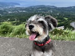 犬旅～静岡～