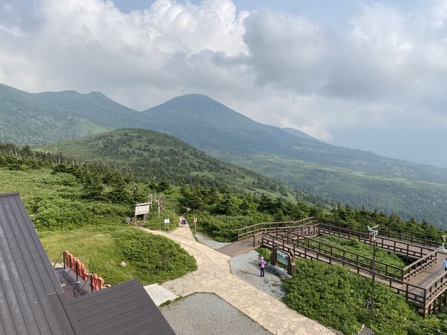 最終日に現場立会いとなり、三連休にも関わらず中日に移動、家族からクレーム受けながらの青森出張。<br />伊丹空港に向かう途中、いきなり遅延のお知らせ・・・<br />ラウンジで時間を潰す、搭乗ゲートに行くと更に遅延・・・<br />結局、３５分遅延し十和田に向かう途中十和田湖に寄ろうと思ったが断念。<br /><br />夕食は、現地担当者と食事。<br />翌日は朝から現場立会し、無事終了。<br />ランチを食べて、２５年ぶりの酸ヶ湯温泉へ<br />温泉で汗を流して空港に向かっていると、またまた遅延の連絡が・・・<br />タイミングよくロープウエイの看板が見えたので、行ってみるとこれまたタイミングよく出発2分前だったので飛び乗り山頂へ<br />２５年前にも訪れていたが、天気が悪く寒かった以外まったく記憶なし・・・<br />山頂からの景色は雄大そのもので、心が洗われた。<br />残念ながらクマ出没中で、遊歩道は閉鎖されていたが、十分堪能できた。<br /><br />２５年前の旅行記<br />回顧録　八泊九日　東北旅行<br />https://4travel.jp/travelogue/11599363