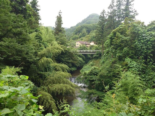 雨で濡れた緑の木とか葉とか山や川を電車の中から見たくて、秩父に行ってきました。小雨がしとしと、霧みたいな雨が顔に張り付く中、雨の山や川、県道、温泉を堪能。<br /><br />有名な長瀞の岩畳も見れました。<br /><br />何処でもいいから日帰り温泉に行こうと思ってたのですが、バスの時間とか調べるのが面倒くさくて、皆野駅から徒歩で行ってきました。しかも遠い方。汗もかいたし大変疲れましたが、その分温泉は最高でした。<br /><br />宿は西武秩父駅の近くの比与志旅館。朝食が美味しかった。<br /><br />秩父の温泉が凄く良かったので、2日目も日帰り温泉に行きました。…2日目は反省して、西武秩父駅からシャトルバスが出てる星音の湯に行きました。<br />