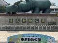 暑すぎ東京！② 東武動物園へ