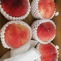 小淵沢で温泉＆たてしな自由農園で桃と野菜を買う旅