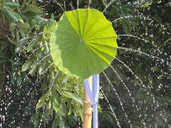 横浜中華街