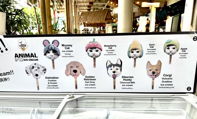 (ちょっと少し前の話にはなるのだが...)<br /><br />漸く、タイも酷暑期が終了し、気温も下がりホッと一息...<br /><br />だけど...毎日『大雨』は...やっぱ嫌だなぁぁ...<br /><br />とか思いながら(BKKの湿っぽい夜景を見ながら自分のコンドで)寝床につく...<br /><br />ぼぉ~っと、夜景見たり、天井見たり、いろいろ考えていたら...<br /><br />「そーだ!!...雨の降っていない島にでも行こう」...という思いが湧き上がる...<br /><br />すると俄然、元気になり、目がギンギンで、眠れなくなった...<br /><br />...で、翌朝、いろいろ調べてみて、向かう先は『コ・サムイ(サムイ島)』に決めた。<br /><br />この島に行くのは、学生時以来なので、ほぼ30年以上ぶり...<br /><br />どうやらタイ全土(プーケット含む)で雨が降っている今、実は「サムイ島」は地形の関係で雨が少ないんだとか...へぇ~、そーなんだぁ~、知らんかったなぁ...<br /><br />タイ全地域の雨季(6月~10月)の時期、『サムイ島では(逆に)2~9月まで』がベストシーズンなんだそう...<br /><br />Let's go to Ko Samui!!